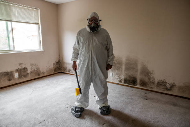 Best Attic Mold Removal  in Lakeport, TX