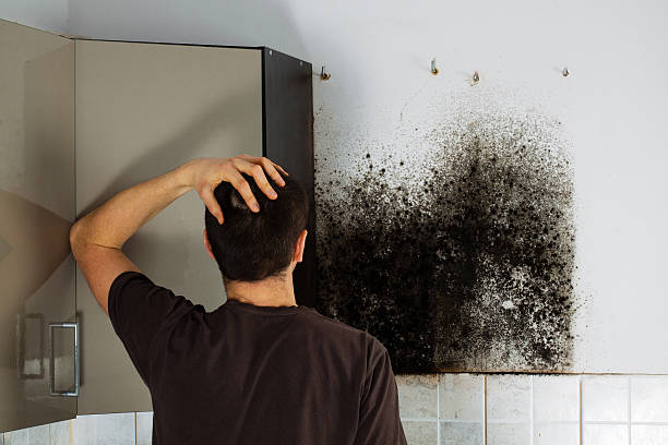 Best Attic Mold Removal  in Lakeport, TX